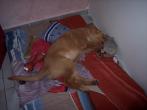 Siesta s Larisou [nové okno]
